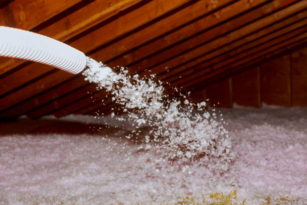 Best Home Insulation Services  in Eclectic, AL