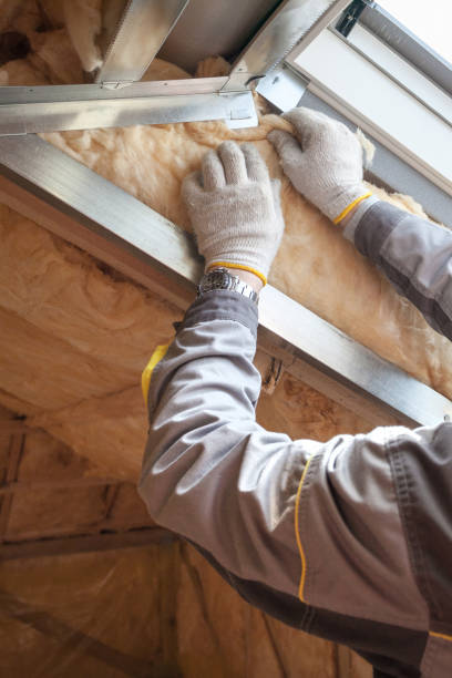 Best Energy-efficient Insulation  in Eclectic, AL